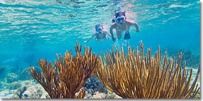Snorkeling